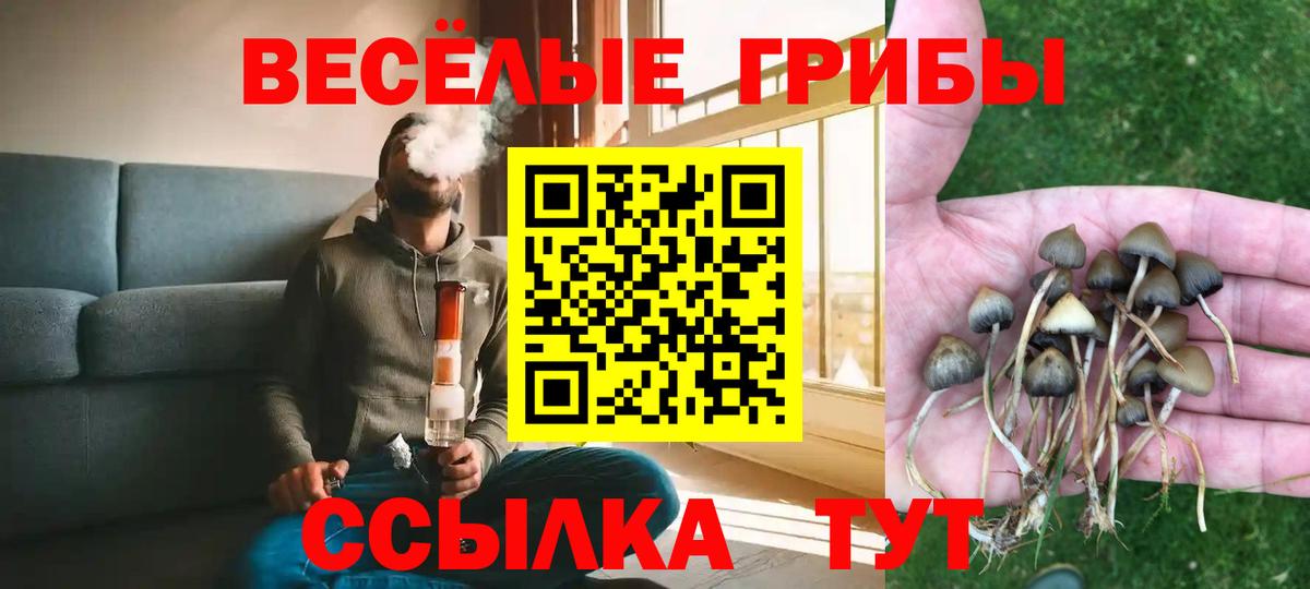 Галлюциногенные грибы Cubensis Тавда