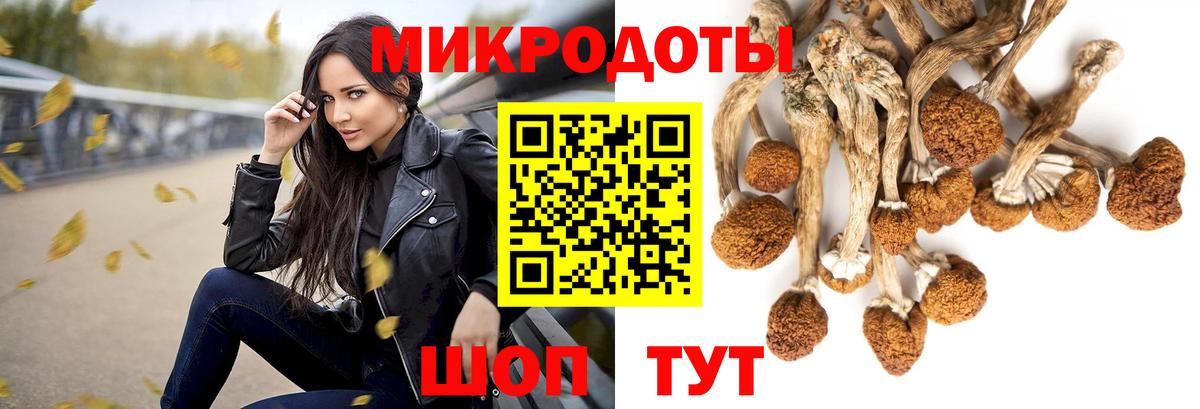 Псилоцибиновые грибы GOLDEN TEACHER  Вход с VPN  Тавда 