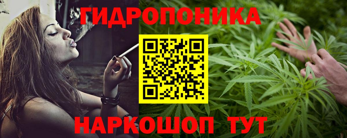 Шишки марихуана MAZAR  Вход с VPN  Бошки марихуана LSD WEED  Тавда  Бошки марихуана планчик 